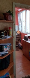one-room sofiya druzhba-2 49718